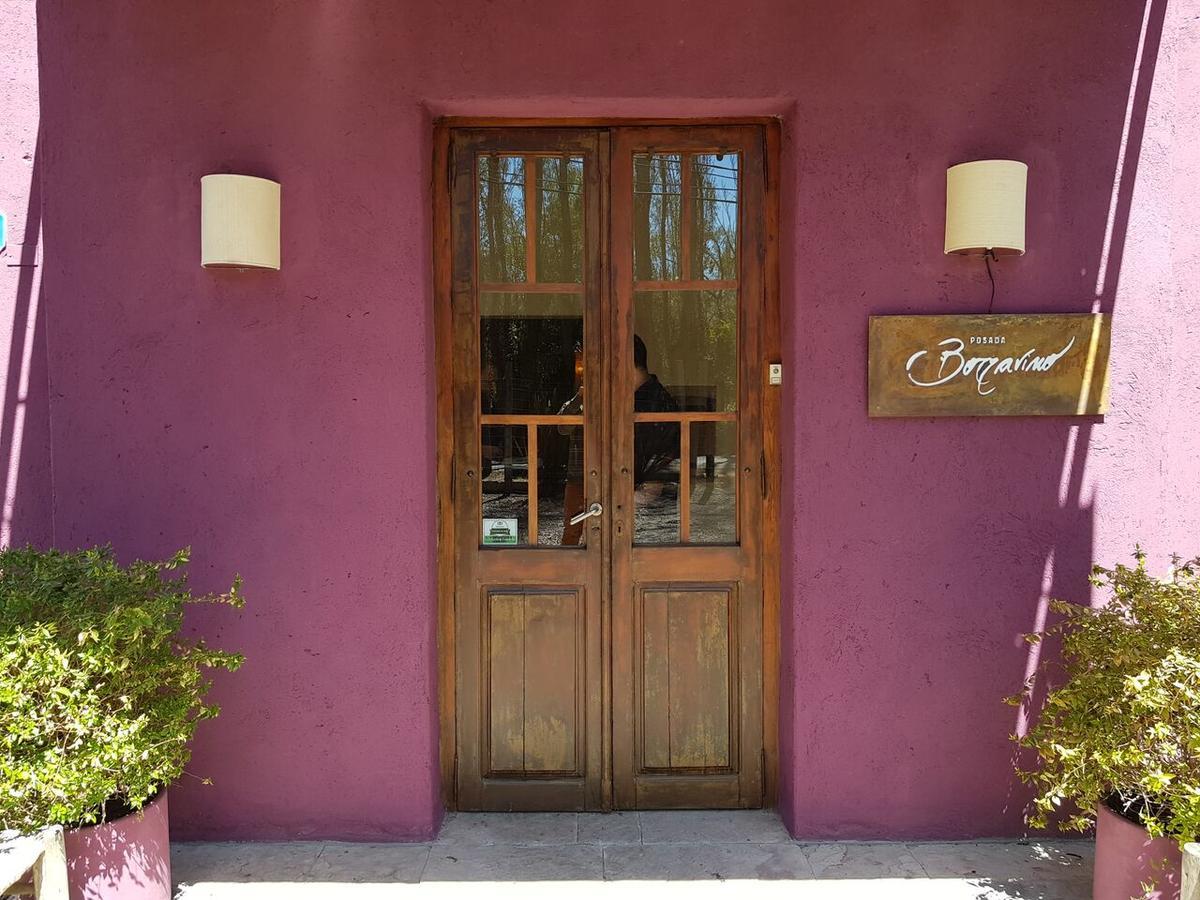 Posada Borravino Chacras de Coria Εξωτερικό φωτογραφία